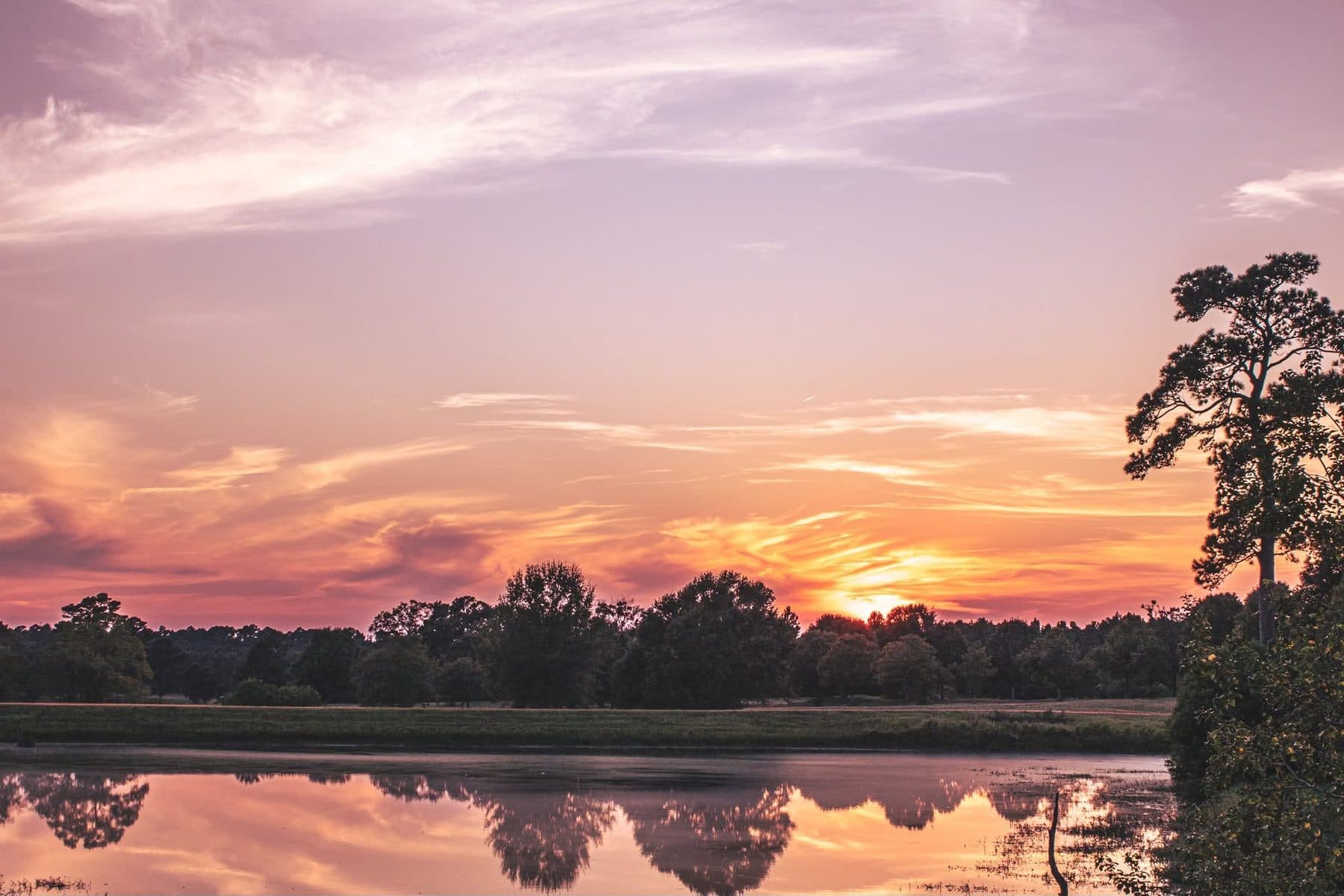 Photograph by Larry Thomas