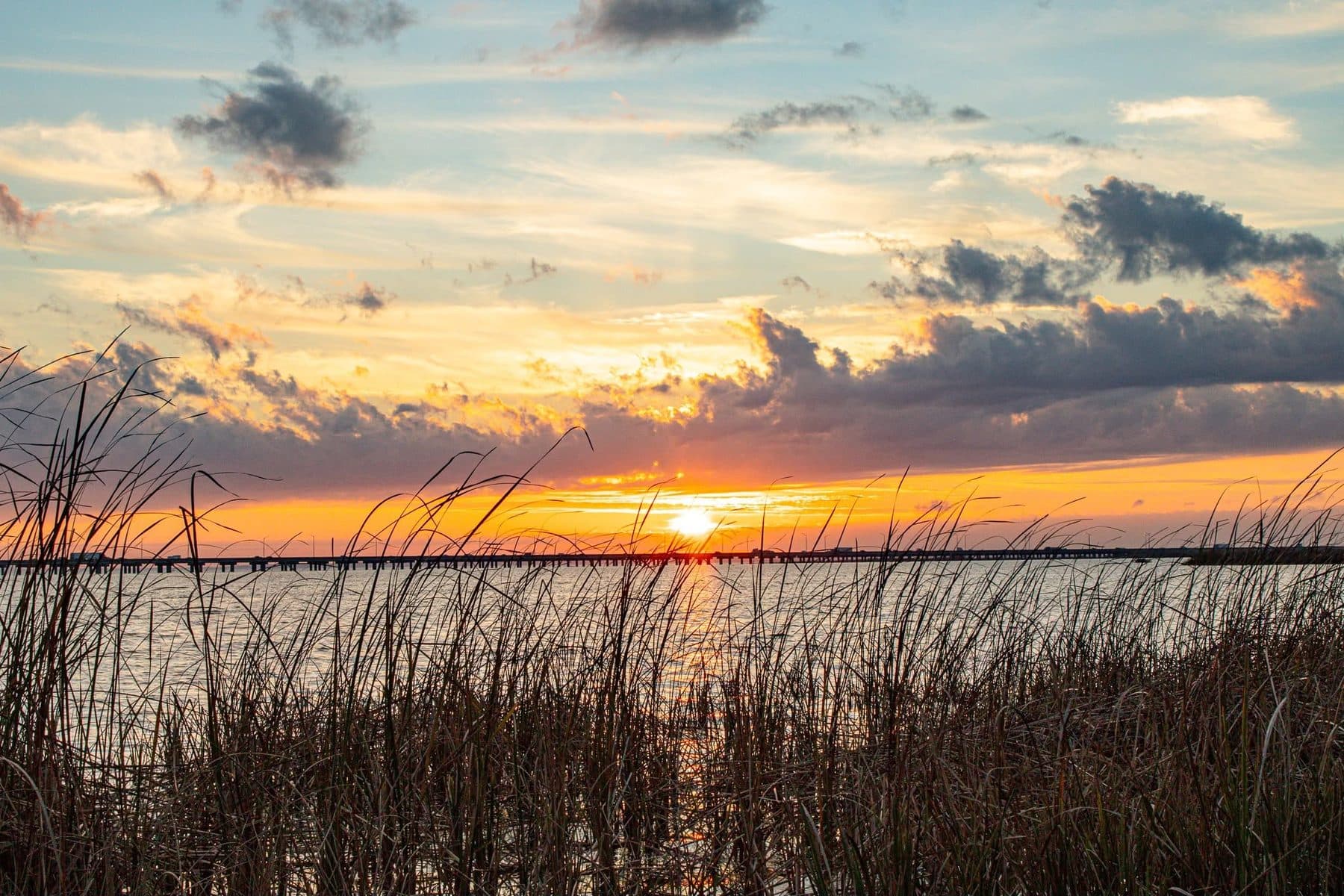 Photograph by Larry Thomas