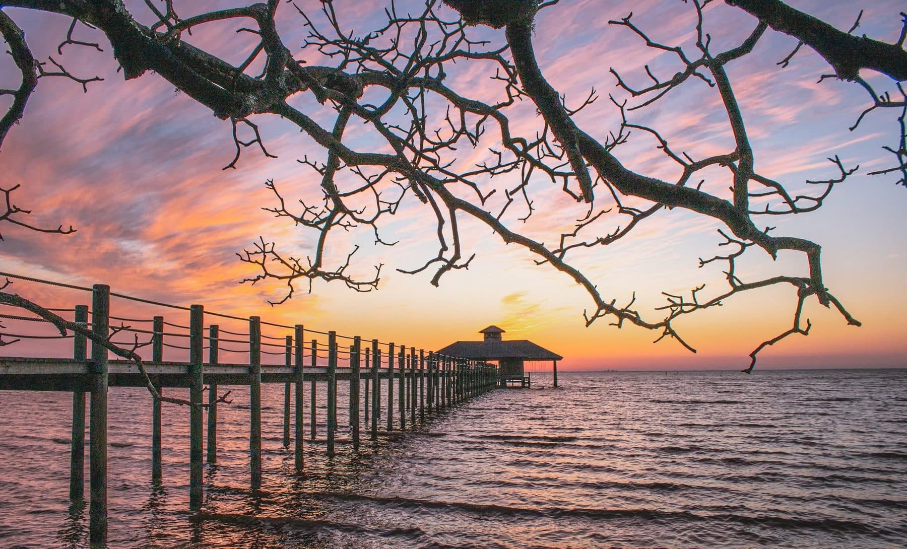 Photograph by Larry Thomas
