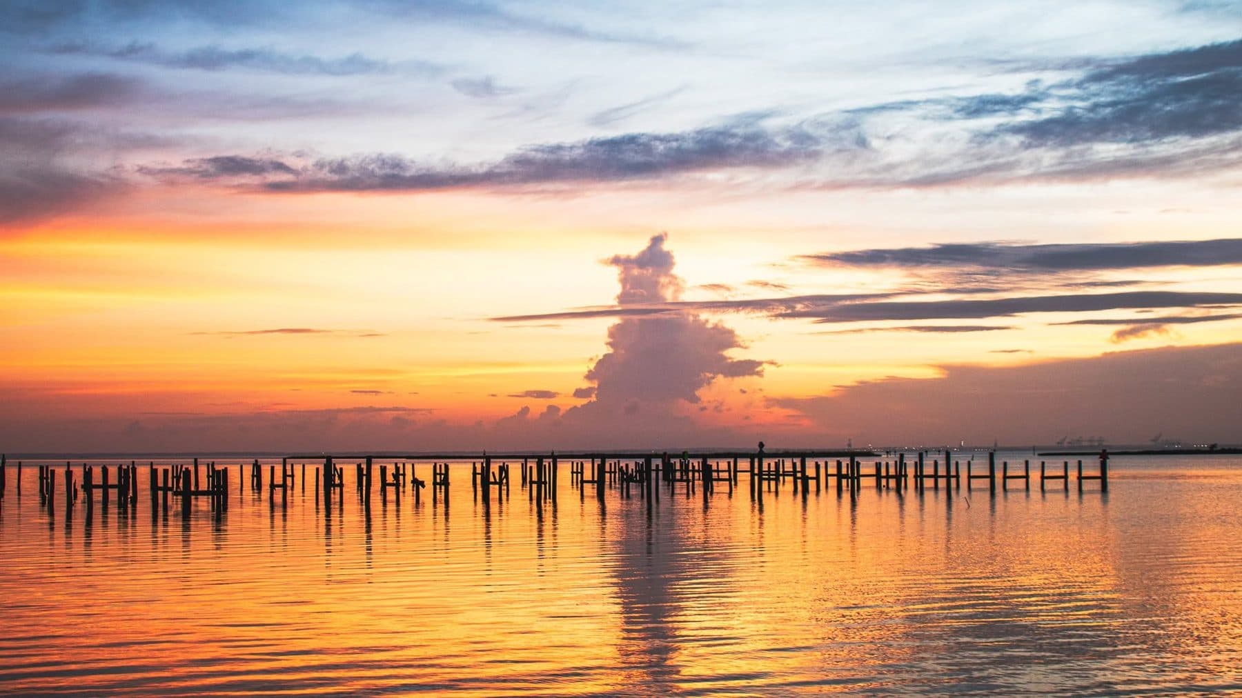 Photograph by Larry Thomas
