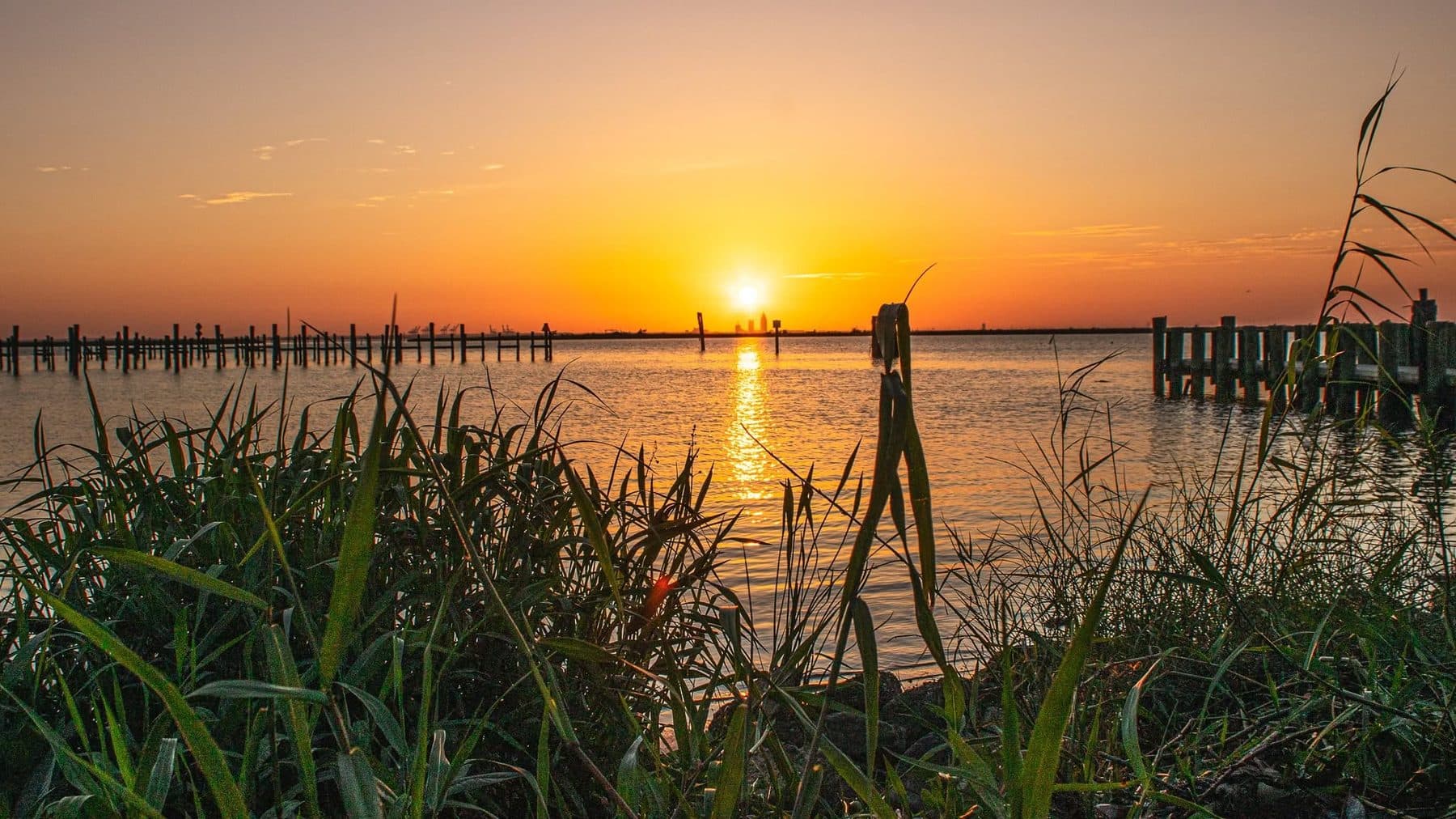 Photograph by Larry Thomas